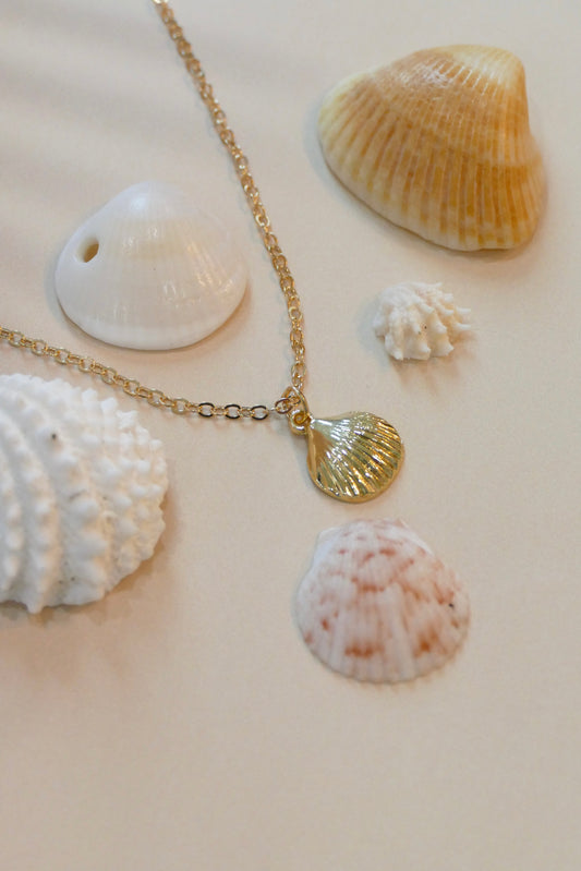 Summer Ocean’s Shell Diffusing Necklace